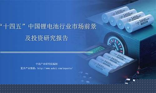 锂电产业的未来(锂电池的未来)_https://www.taocizhiliang.com_装修流程_第1张