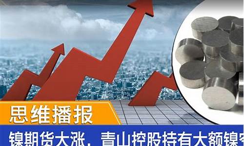 期货炒单镍(期货炒单必死)_https://www.taocizhiliang.com_装修流程_第1张