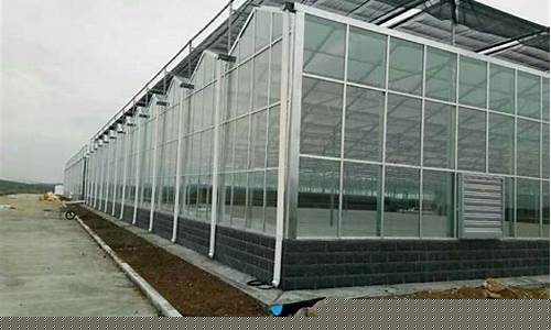 现代化温室大棚图片(现代化的温室大棚)_https://www.taocizhiliang.com_装修流程_第1张