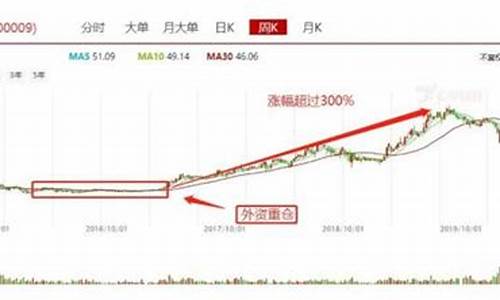 什么叫蓝筹股什么叫白马股(什么叫蓝筹股什么叫白马股票呢)_https://www.taocizhiliang.com_装修公司_第1张
