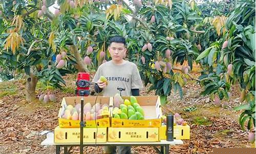 芒果直播国际期货(芒果直播介绍)_https://www.taocizhiliang.com_装修公司_第1张