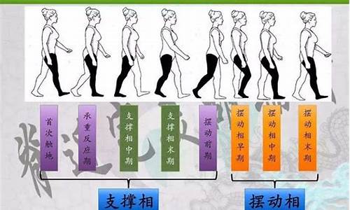 康复步行周期(康复步行周期如何区分跑步和走路)_https://www.taocizhiliang.com_装修流程_第1张