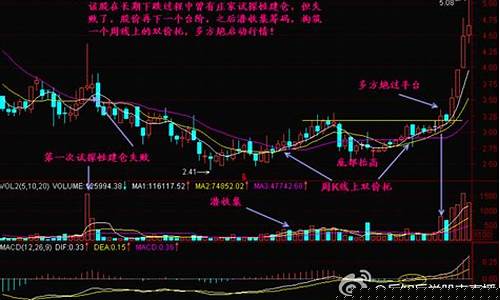 股民村长 股市直播(股市村长是谁)_https://www.taocizhiliang.com_装修流程_第1张
