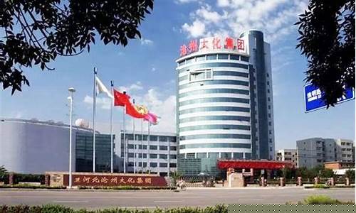 沧州大化目前是央企吗(沧州大化属于什么企业)_https://www.taocizhiliang.com_效果图_第1张