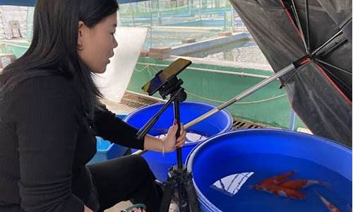 小锦鲤财经直播室(锦鲤财经期货直播)_https://www.taocizhiliang.com_效果图_第1张