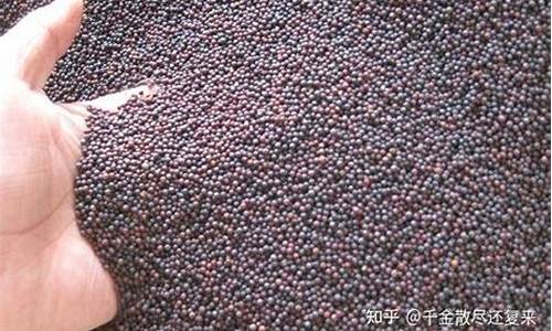 菜粕期货市场直播(菜粕期货交易规则)_https://www.taocizhiliang.com_设计报价_第1张