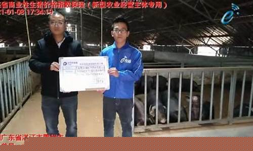 生猪期货频道直播(生猪期货频道直播在线观看)(生猪期货最新消息)_https://www.taocizhiliang.com_装修流程_第1张