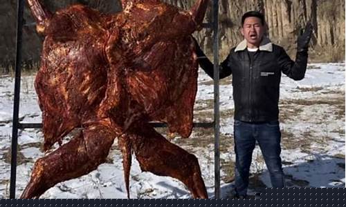南哥财经直播(九哥财经直播)(9哥财经分享)_https://www.taocizhiliang.com_装修公司_第1张