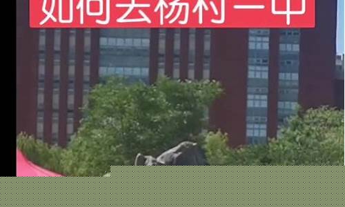 bjtv财经直播(北京btv财经在线直播观看)_https://www.taocizhiliang.com_装修公司_第1张