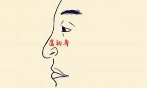 大鼻子财经直播(大鼻子主播)(大鼻子理财教育)_https://www.taocizhiliang.com_设计报价_第1张