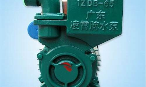 凌霄水泵股市直播(凌霄水泵股票价格)(凌霄水泵抽不上水的原因)_https://www.taocizhiliang.com_效果图_第1张