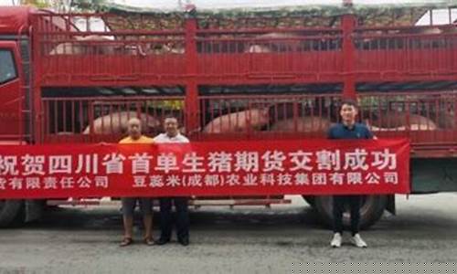 生猪期货实盘在线直播(生猪期货实时图)_https://www.taocizhiliang.com_装修公司_第1张