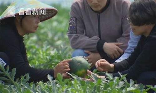 大西瓜股市直播间在哪里进(大西瓜股市直播间在哪里进入)(大西瓜在哪玩)_https://www.taocizhiliang.com_装修公司_第1张